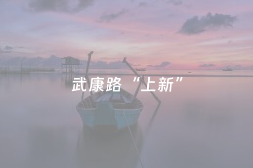 玩家实测“微乐开挂神器（专用辅牌神器免安装）