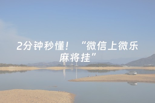 2分钟秒懂！“微信上微乐麻将挂”（详细辅助教程）-哔哩哔哩