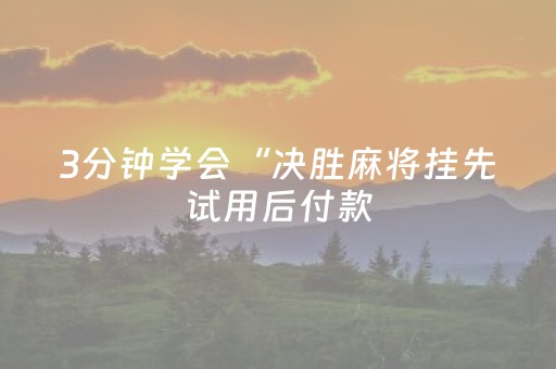 3分钟学会“决胜麻将挂先试用后付款（专用辅牌神器免安装）