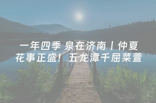 必看教程“微乐河南麻将助赢神器（助赢神器通用版）