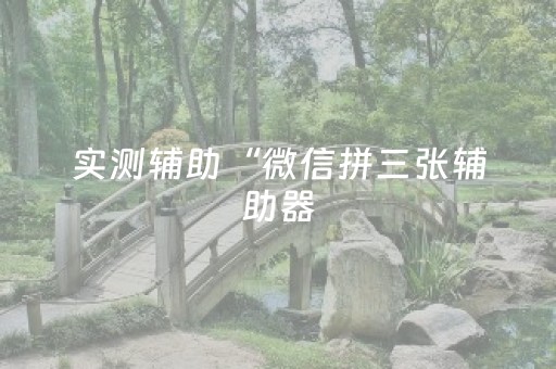 实测辅助“微信拼三张辅助器（助赢神器通用版）