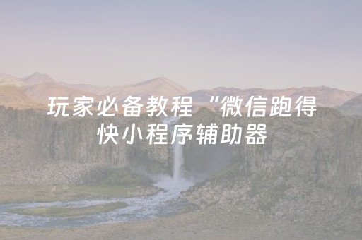 玩家必备教程“微信跑得快小程序辅助器（专用辅牌神器免安装）