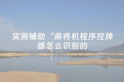 实测辅助“麻将机程序控牌器怎么识别的（专用辅牌神器免安装）