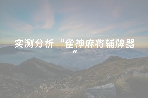 实测分析“雀神麻将辅牌器”（详细透视教程）-哔哩哔哩