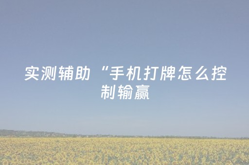 实测辅助“手机打牌怎么控制输赢（专用辅牌神器免安装）