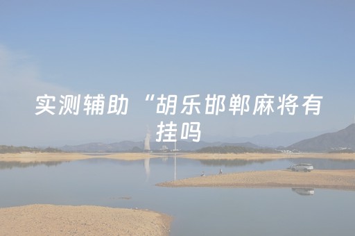 实测辅助“胡乐邯郸麻将有挂吗（专用辅牌神器免安装）