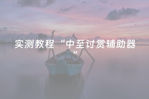 实测教程“中至讨赏辅助器”（详细透视教程）-哔哩哔哩