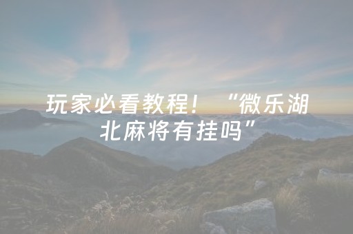 玩家必看教程！“微乐湖北麻将有挂吗”（详细辅助教程）-哔哩哔哩