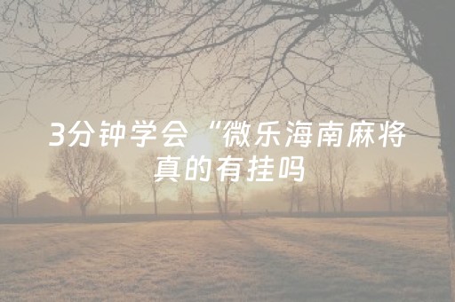 3分钟学会“微乐海南麻将真的有挂吗（专用辅牌神器免安装）
