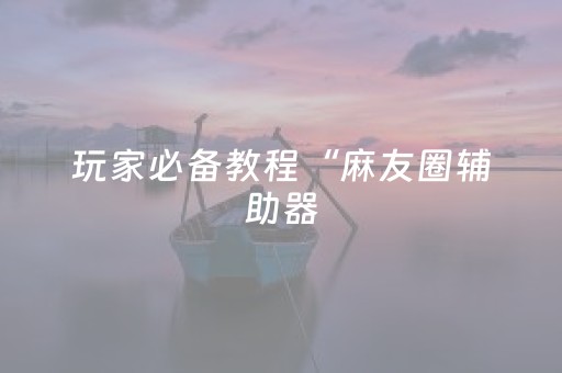 玩家必备教程“麻友圈辅助器（专用辅牌神器免安装）