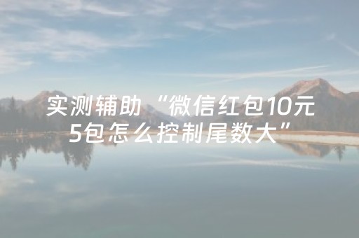实测辅助“微信红包10元5包怎么控制尾数大”（详细透视教程）-哔哩哔哩