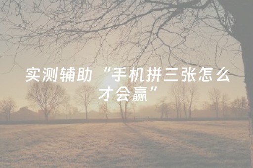 实测辅助“手机拼三张怎么才会赢”（详细透视教程）-哔哩哔哩