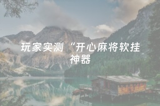 玩家实测“开心麻将软挂神器（专用辅牌神器免安装）