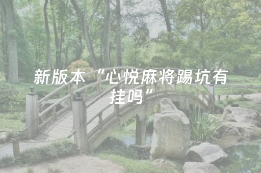 新版本“心悦麻将踢坑有挂吗”（详细透视教程）-哔哩哔哩