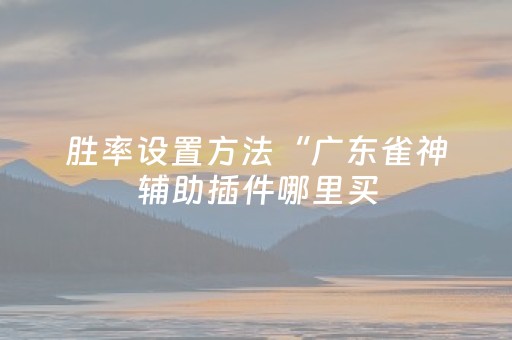 胜率设置方法“广东雀神辅助插件哪里买（助赢神器通用版）