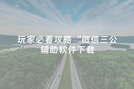 玩家必看攻略“微信三公辅助软件下载（助赢神器通用版）