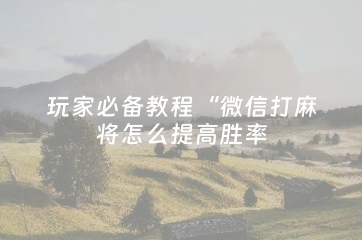 玩家必备教程“微信打麻将怎么提高胜率（助赢神器通用版）