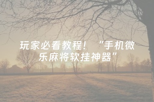 玩家必看教程！“手机微乐麻将软挂神器”（详细开挂教程）-哔哩哔哩