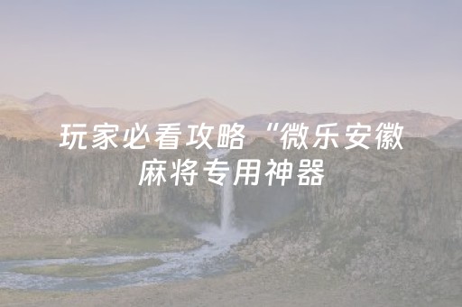 玩家必看攻略“微乐安徽麻将专用神器（专用辅牌神器免安装）