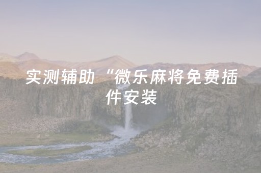 实测辅助“微乐麻将免费插件安装（专用辅牌神器免安装）