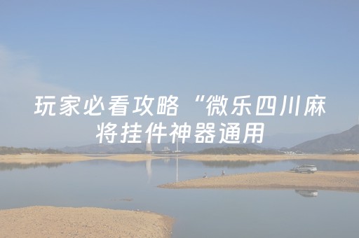 玩家必看攻略“微乐四川麻将挂件神器通用（助赢神器通用版）