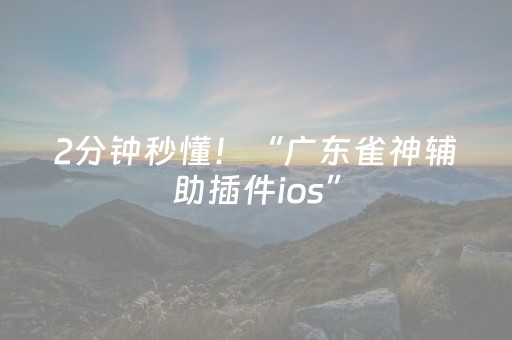 2分钟秒懂！“广东雀神辅助插件ios”（详细透视教程）-哔哩哔哩
