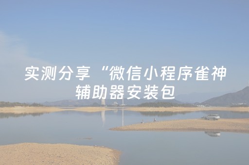 实测分享“微信小程序雀神辅助器安装包（助赢神器通用版）