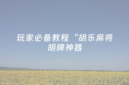 玩家必备教程“胡乐麻将胡牌神器（专用辅牌神器免安装）