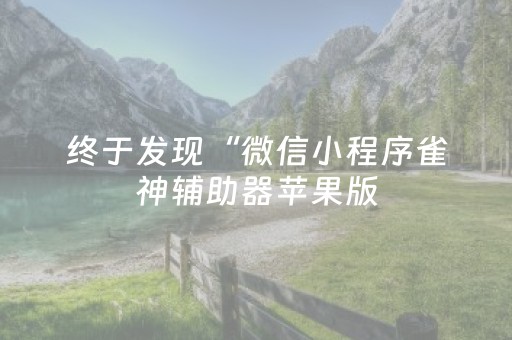 终于发现“微信小程序雀神辅助器苹果版（助赢神器通用版）