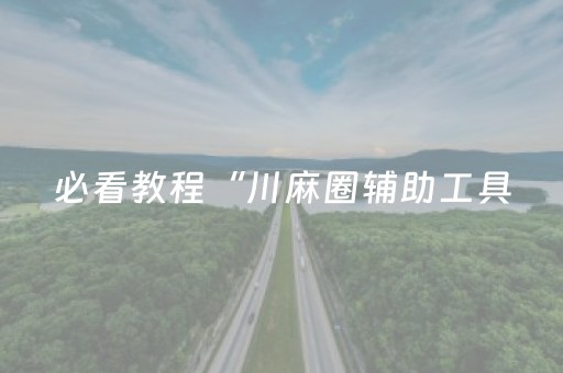 必看教程“川麻圈辅助工具（专用辅牌神器免安装）