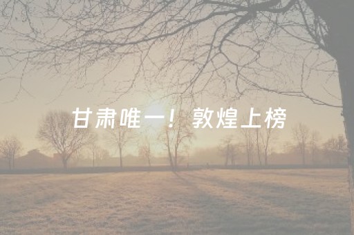 实测分享“蜀山四川麻将助赢神器”（详细透视教程）-哔哩哔哩