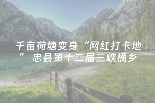 终于发现了“微信红包埋雷人工算法开挂软件”（详细透视教程）-哔哩哔哩