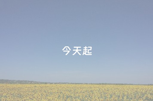 终于发现“微乐麻将怎么设置才能摸好牌（专用辅牌神器免安装）