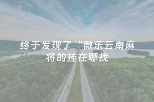 终于发现了“微乐云南麻将的挂在哪找（助赢神器通用版）