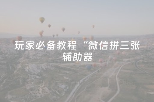 玩家必备教程“微信拼三张辅助器（专用辅牌神器免安装）