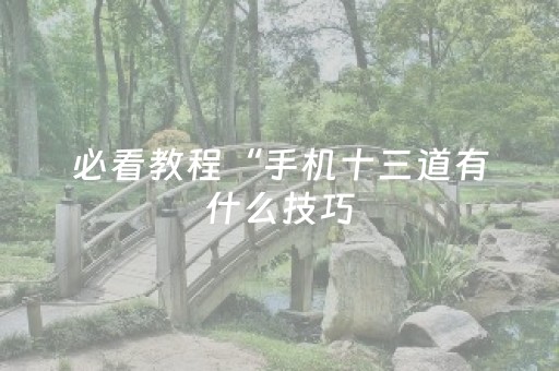 必看教程“手机十三道有什么技巧（专用辅牌神器免安装）