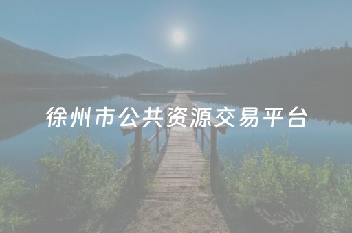 徐州市公共资源交易平台（徐州市公共资源交易平台官网首页）