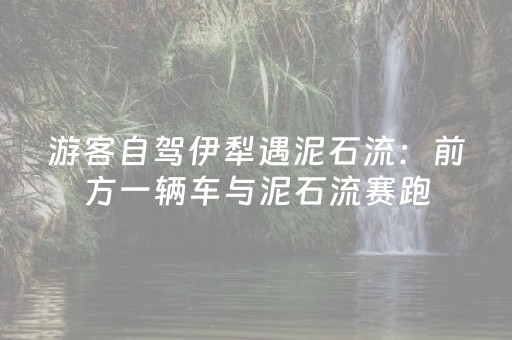 安装程序教程“手机微信小程序麻将做弊器软件”（究竟是不是有挂)