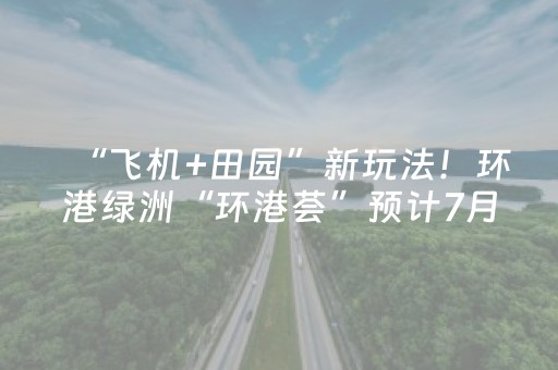 今日实测“手机麻将做弊器最新款”（详细开挂教程）-哔哩哔哩