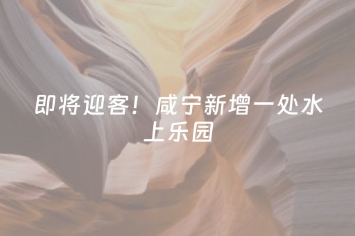 实测分享“普通麻将机最新黑科技产品（助赢神器通用版）