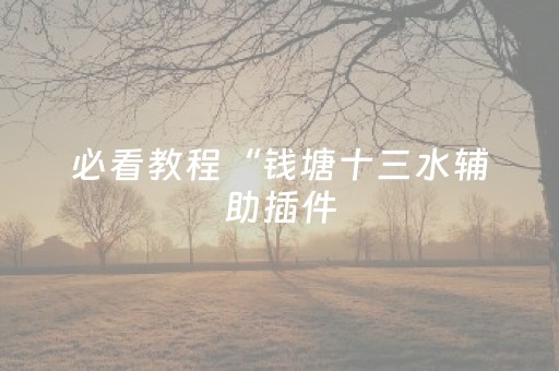 必看教程“钱塘十三水辅助插件（助赢神器通用版）
