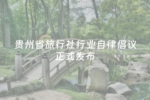 分享辅助“千讯红包有没有挂”（详细透视教程）-哔哩哔哩
