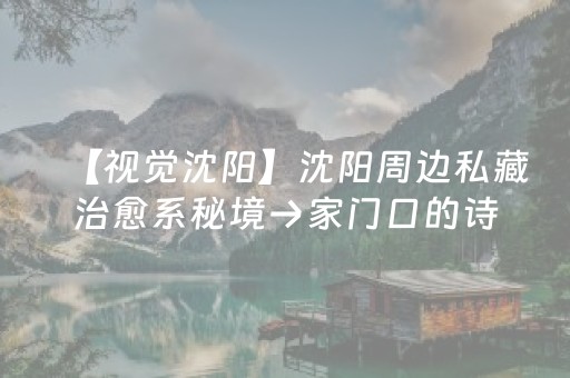 实测教程“诚信真的有埋雷挂”（详细透视教程）-哔哩哔哩