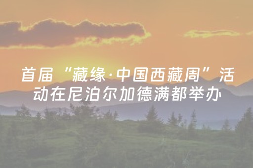 实测分享“普通麻将机手机解码器（专用辅牌神器免安装）
