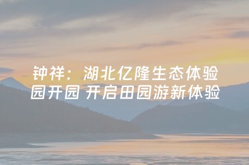我来教大家“免安装麻将机解码器怎么买”（详细透视教程）-哔哩哔哩