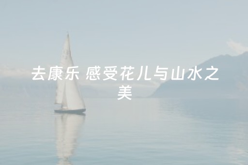 2分钟秒懂！“胡乐白银麻将有挂吗”（详细透视教程）-哔哩哔哩