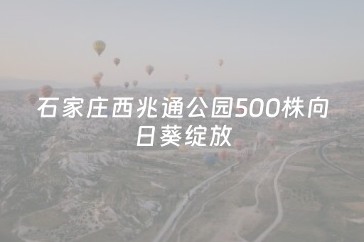 玩家必看攻略“微信小程序跑得快充值后胜率能提高吗”（发牌有什么规律吗)