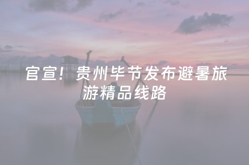 官宣！贵州毕节发布避暑旅游精品线路，邀您清凉一夏