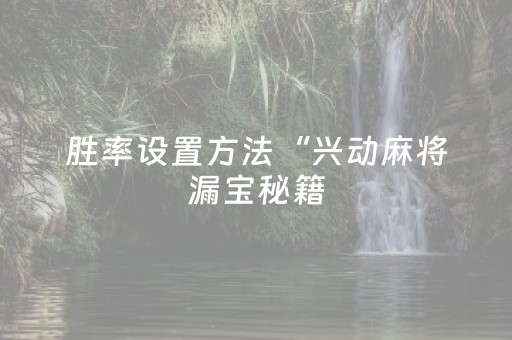 胜率设置方法“兴动麻将漏宝秘籍（助赢神器通用版）