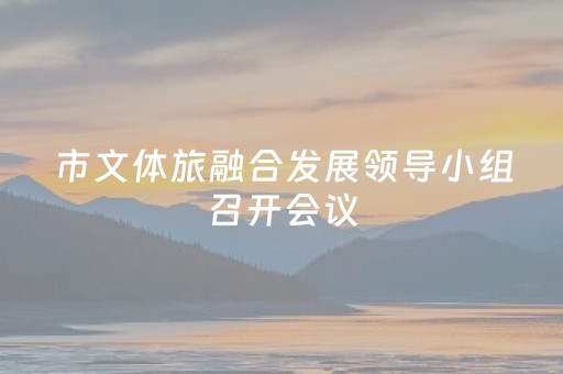 市文体旅融合发展领导小组召开会议